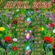 Calendrier | Avril 2026