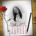 Calendrier - Juillet